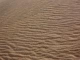 Great Sand Dunes 027